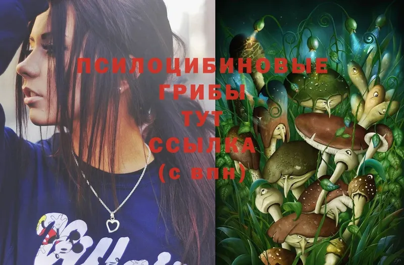 Галлюциногенные грибы MAGIC MUSHROOMS  Фролово 